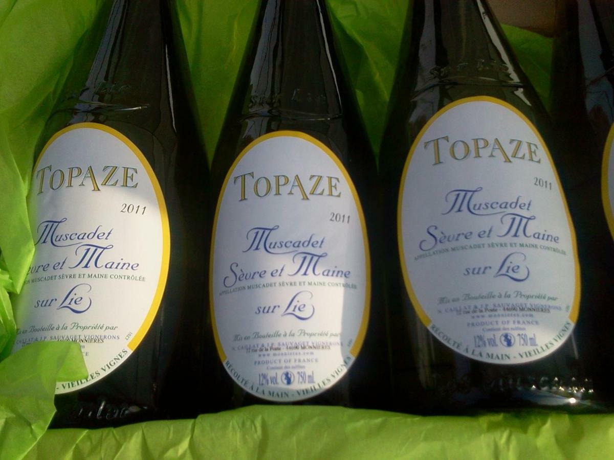 Topaze Sejour Chez Le Vigneron Monnieres  Екстериор снимка